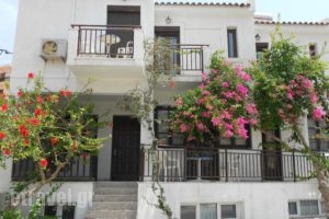 Frini Hotel_best prices_in_Hotel_Aegean Islands_Samos_Samosst Areas