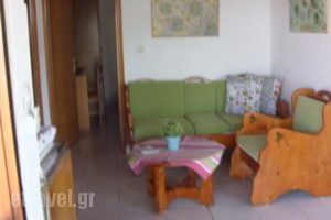 Studios Dina_holidays_in_Hotel_Aegean Islands_Thasos_Thasos Chora