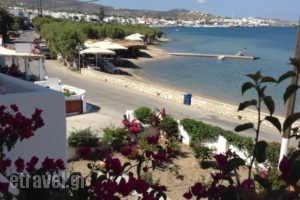 Studios Irene_best prices_in_Hotel_Cyclades Islands_Paros_Paros Chora