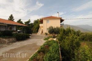 Studio Maistros_accommodation_in_Hotel_Central Greece_Fokida_Galaxidi