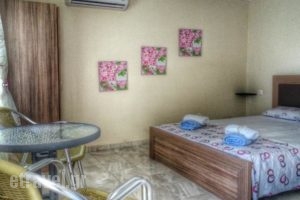 Stelios House_accommodation_in_Hotel_Macedonia_Thessaloniki_Thessaloniki City