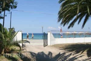 Villa Paradiso_travel_packages_in_Macedonia_Halkidiki_Paradisos