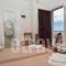 Irene Rooms_best prices_in_Room_Cyclades Islands_Paros_Naousa