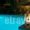 Studios Angela_best deals_Hotel_Aegean Islands_Samos_Pythagorio