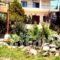 The White Rabbit_accommodation_in_Hotel_Macedonia_Halkidiki_Kassandreia