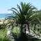 Villa Papapostolou_lowest prices_in_Villa_Macedonia_Halkidiki_Ierissos