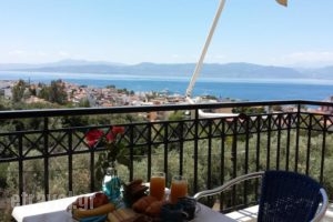 Anemos Studios_accommodation_in_Hotel_Central Greece_Evia_Edipsos