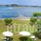 Livari Studios_travel_packages_in_Macedonia_Halkidiki_Chalkidiki Area