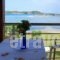 Livari Studios_best deals_Hotel_Macedonia_Halkidiki_Chalkidiki Area