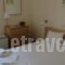 Villa Anesis_holidays_in_Villa_Piraeus Islands - Trizonia_Spetses_Spetses Chora