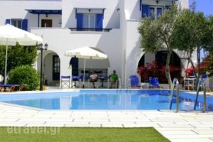 Ikaros Studios & Apartments_accommodation_in_Apartment_Cyclades Islands_Naxos_Naxos chora