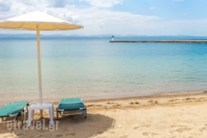 Palmariva Beach Bomo Club_holidays_in_Hotel_Central Greece_Evia_Eretria