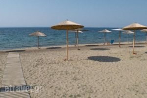 Mikiverna Houses & Apartments_holidays_in_Apartment_Macedonia_Halkidiki_Poligyros