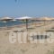 Mikiverna Houses & Apartments_best deals_Apartment_Macedonia_Halkidiki_Poligyros