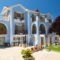 Nikos Studios and Apartments_best deals_Apartment_Ionian Islands_Kefalonia_Kefalonia'st Areas