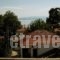 Hotel Alexandros_best deals_Hotel_Thessaly_Magnesia_Afissos