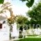 Thalassia Studios_best deals_Hotel_Sporades Islands_Skyros_Kalamitsa