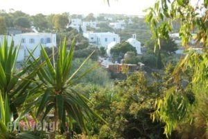 Villa Apollonia_holidays_in_Villa_Cyclades Islands_Sifnos_Apollonia