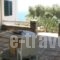 Margarita Home Hotel_accommodation_in_Hotel_Cyclades Islands_Andros_Gavrio