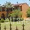 Elena Apartments_best deals_Apartment_Ionian Islands_Corfu_Corfu Rest Areas