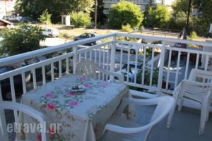 Galanis Studios and Apartments_best deals_Apartment_Thessaly_Larisa_Ambelakia