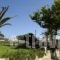 Skiros Palace Hotel_lowest prices_in_Hotel_Sporades Islands_Skyros_Skyros Chora
