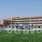 Princess Sun Hotel_holidays_in_Hotel_Dodekanessos Islands_Rhodes_kiotari