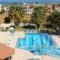 Manolis Apartments_holidays_in_Apartment_Crete_Heraklion_Malia