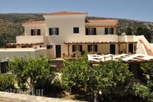 Handakas Studios_holidays_in_Hotel_Cyclades Islands_Andros_Andros City