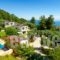 Thassian Villas_holidays_in_Villa_Aegean Islands_Thasos_Thasos Chora