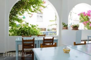 Karanasos_holidays_in_Hotel_Cyclades Islands_Andros_Batsi