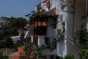 Stella Studios_lowest prices_in_Hotel_Sporades Islands_Alonnisos_Patitiri