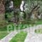 Athina Rooms_best deals_Room_Thessaly_Magnesia_Pilio Area