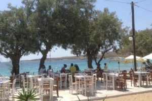 Krios Beach Camping_holidays_in_Hotel_Cyclades Islands_Paros_Paros Chora