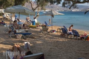 Krios Beach Camping_travel_packages_in_Cyclades Islands_Paros_Paros Chora