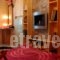 Guesthouse Chrysa_best deals_Hotel_Central Greece_Viotia_Arachova