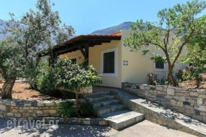 Villa Dimitris_best deals_Villa_Crete_Rethymnon_Mylopotamos