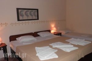 Ammon Garden Hotel_best deals_Hotel_Macedonia_Halkidiki_Haniotis - Chaniotis