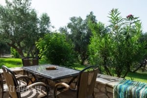 Koroni Village_holidays_in_Hotel_Thessaly_Magnesia_Koropi