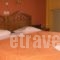 Plumeria Flowery_lowest prices_in_Hotel_Central Greece_Fokida_Delfi