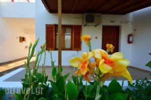 Studios Calvinos_best prices_in_Hotel_Aegean Islands_Samos_Marathokambos