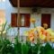 Studios Calvinos_best prices_in_Hotel_Aegean Islands_Samos_Marathokambos