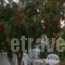 Kapetanios Studios_accommodation_in_Hotel_Ionian Islands_Corfu_Corfu Rest Areas