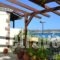 Filanthi Rooms_best deals_Room_Thessaly_Magnesia_Pilio Area