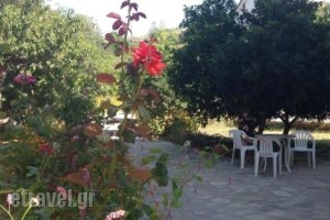 Alekos Rooms And Apartments_accommodation_in_Room_Aegean Islands_Samos_Samosst Areas