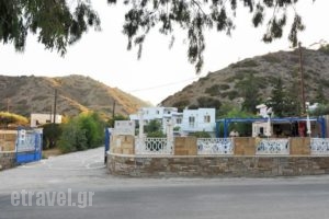 Iris Studios_holidays_in_Hotel_Dodekanessos Islands_Karpathos_Karpathos Chora