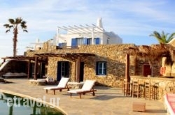 Villa Maria Boutique Apartments hollidays