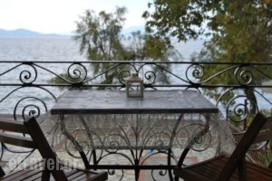 Villa Bella Vista_holidays_in_Villa_Thessaly_Magnesia_Afissos