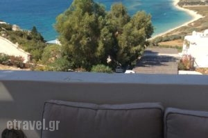 Villa Mousa_best prices_in_Villa_Cyclades Islands_Naxos_Mikri Vigla