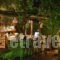 Studio Rellas_best deals_Hotel_Ionian Islands_Paxi_Paxi Chora